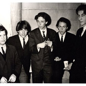 The Iguanas
