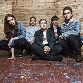 Marmozets