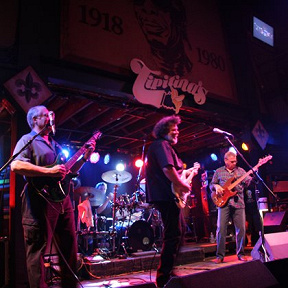 The Radiators