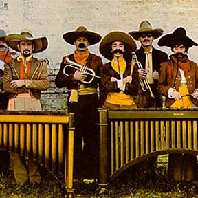 The Baja Marimba Band