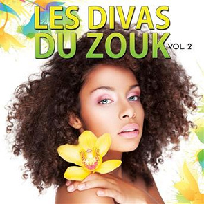 TÉLÉCHARGER DANSER LE ZOUK SENSUELLEMENT VOLUME 2 GRATUITEMENT