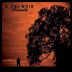 TÉLÉCHARGER ENSEMBLE SPRI NOIR GRATUIT