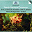 Reinhardt Goebel / Koln Musica Antiqua / Joseph Bodin de Boismortier - French Baroque Concertos