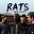 Rats - Patsy Decline