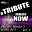 The Tribute Beat - A Tribute Music Now: One Hit Wonder's of the 80's, Vol. 4
