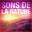 Bruits Naturel - Sons de la nature, Vol. 1