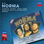 Album Bellini: Norma de Luciano Pavarotti / Chorus of the Welsh National Opera / Dame Joan Sutherland / Richard Bonynge / Samuel Ramey...