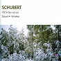 Album Schubert: Winterreise de John Winther / Ronald Dowd / Franz Schubert