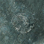 Album Fossils de Ludovico Einaudi