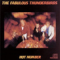 Album HOT NUMBER de The Fabulous Thunderbirds