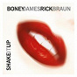 Album Shake It Up de Boney James / Rick Braun
