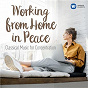 Compilation Working from Home in Peace: Classical Tunes for Concentration avec Max Bruch / Ton Koopman / Saskia Kwast / Wilbert Hazelzet / W.A. Mozart...