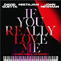 Album If You Really Love Me (How Will I Know) de David Guetta X Mistajam X John Newman