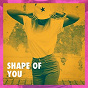 Album Shape of You de The Party Hits All Stars
