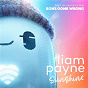 Album Sunshine (From the Motion Picture ?Ron's Gone Wrong?) de Liam Payne