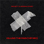 Album Killing The Pain (VIP Mix) de Serena Ryder / Des3ett