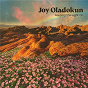 Album Keeping The Light On de Joy Oladokun