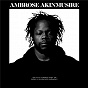 Album on the tender spot of every calloused moment de Ambrose Akinmusire