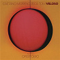 Album Ofertório (Ao Vivo) de Caetano Veloso / Moreno Veloso / Zeca Veloso