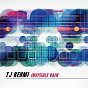 Album Invisible Rain de TJ Rehmi / T.J. Rehmi