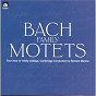 Album Bach/Family Motets de The Choir of Trinity College, Cambridge / Jean-Sébastien Bach / Johann Christoph Bach