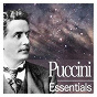 Compilation Puccini Essentials avec Cristina Gallardo-Domâs / Giacomo Puccini / Maurizio Barbacini / Munich Radio Orchestra / James Conlon...