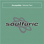 Compilation Soulfuric Accapellas, Vol. 2 avec Bongoloverz / Soul Searcher / Urban Blues Project & Michael Procter / Bobby D Ambrosio / John Julius Knight & Roland Clark...