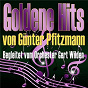 Album Goldene Hits von Günter Pfitzmann (Begleitet vom Orchester Gert Wilden) de Orchester Gert Wilden / Gunter Pfitzmann & Orchester Gert Wilden