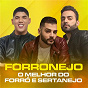 Compilation Forronejo - O Melhor do Forró e Sertanejo avec Avine Vinny / Gusttavo Lima / Os Barões da Pisadinha / Diego & Victor Hugo, Bruno & Marrone / Bruno & Marrone...