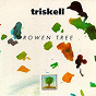 Album Rowen Tree (Breton Group - Celtic Music from Brittany -Keltia Musique -Bretagne) de Triskell