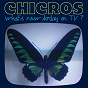 Album What's New Today On TV? EP de Chicros