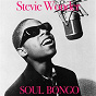Album Soul Bongo de Stevie Wonder