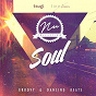 Compilation Nu Collection: Soul (Groovy & Dancing Beats) avec Anushka / Alice Russel / Troublemakers / Belleruche / Ibibio Sound Machine...
