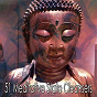 Album 51 Meditative State Cleansers de Meditation