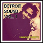 Compilation Detroit Sound, Vol. 1 avec Nick & the Jaguars / Marv Johnson / Eddie Holland / Barrett Strong / Chico Leverett...
