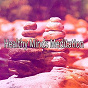 Album Healthy Minds Meditation de Forest Sounds