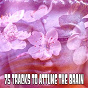 Album 75 Tracks To Attune The Brain de Focus Study Music Academy