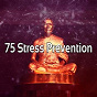Album 75 Stress Prevention de Asian Zen Spa Music Meditation