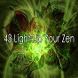 Album 43 Light up Your Zen de Meditation Zen Master