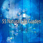 Album 55 Natural Life Garden de Meditation Awareness