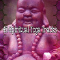 Album 45 Spiritual Yoga Tracks de Spiritual Fitness Music