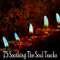 Album 75 Soothing the Soul Tracks de Sound Library XL