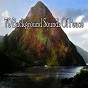 Album 79 Background Sounds of Peace de Relaxing Mindfulness Meditation Relaxation Maestro