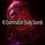 Album 43 Examination Study Sounds de Focus Study Music Academy