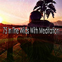 Album 75 In the Wilds with Meditation de Japanese Relaxation & Meditation