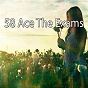 Album 58 Ace the Exams de White Noise Research