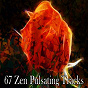Album 67 Zen Pulsating Tracks de Meditation Spa