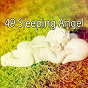 Album 49 Sleeping Angel de Serenity Spa Music Relaxation