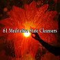 Album 61 Meditative State Cleansers de Zen Meditation & Natural White Noise & New Age Deep Massage