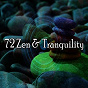Album 72 Zen & Tranquility de Ambient Forest